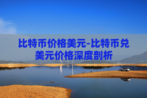 比特币价格美元-比特币兑美元价格深度剖析