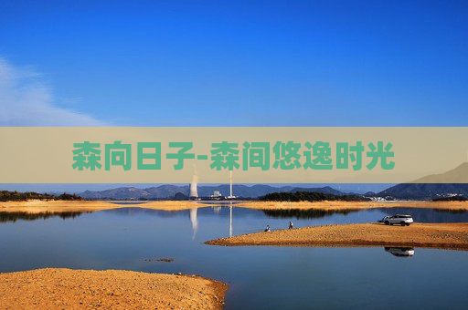 森向日子-森间悠逸时光