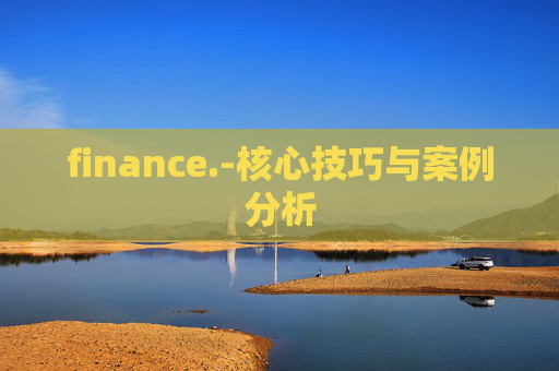 finance.-核心技巧与案例分析
