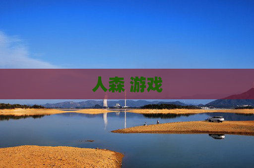 人森 游戏
