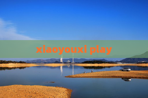 xiaoyouxi play