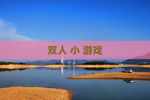 双人 小 游戏