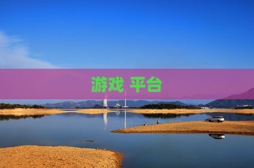 游戏 平台