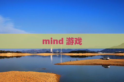 mind 游戏