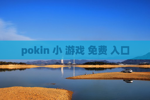 pokin 小 游戏 免费 入口
