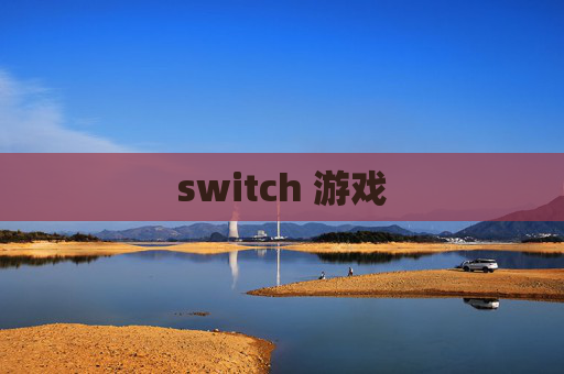 switch 游戏