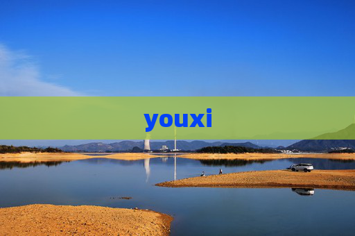 youxi