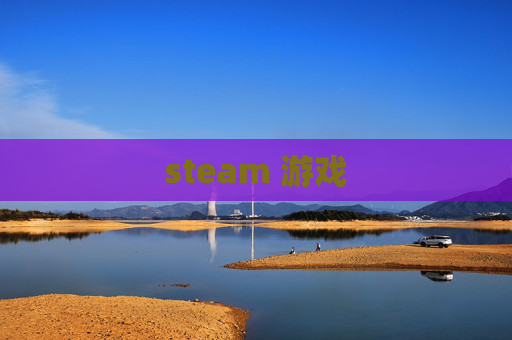 steam 游戏