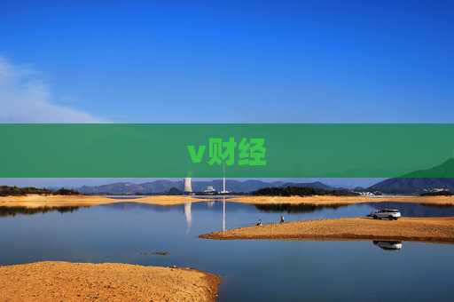 v财经