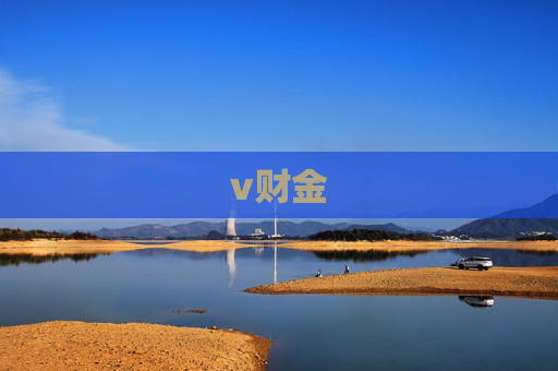 v财金