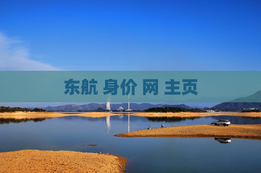 东航 身价 网 主页