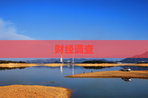 财经调查
