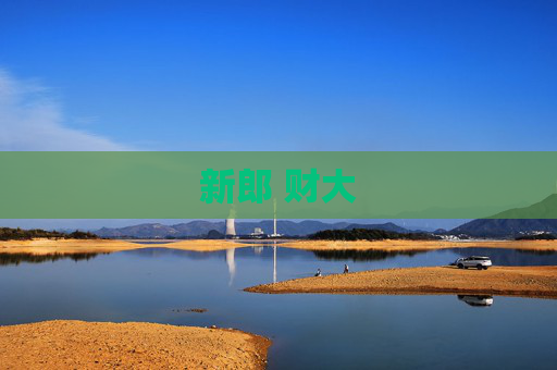 新郎 财大
