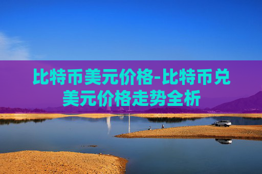 比特币美元价格-比特币兑美元价格走势全析