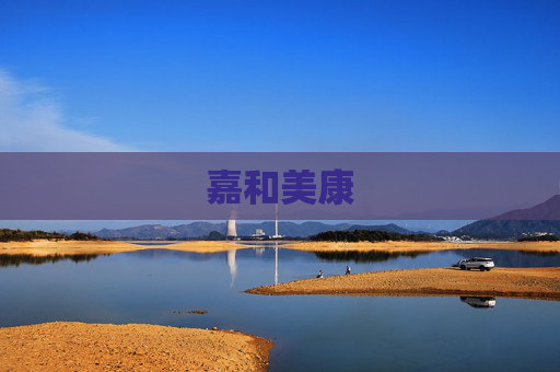 嘉和美康