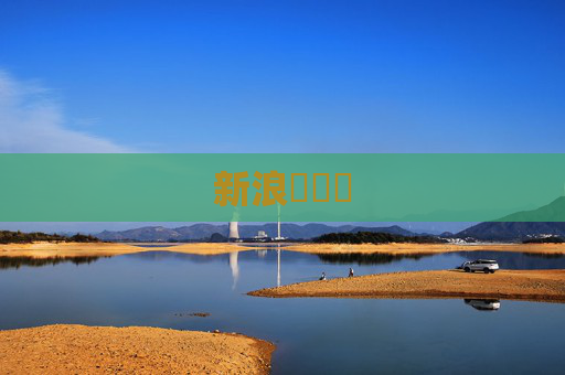 新浪財經網