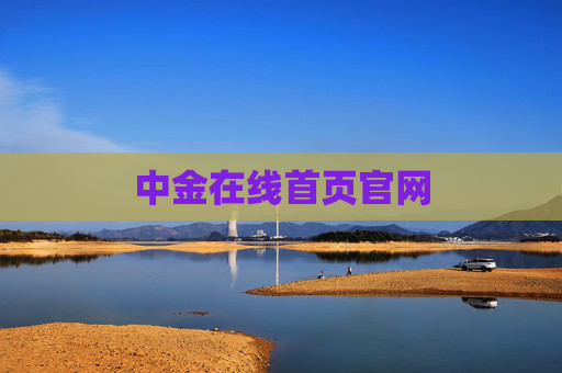 中金在线首页官网