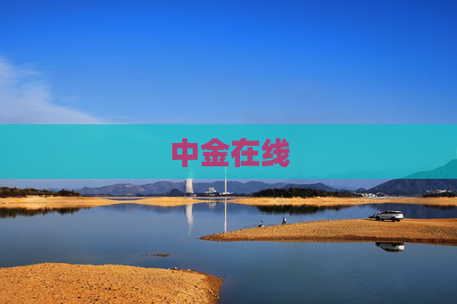 中金在线
