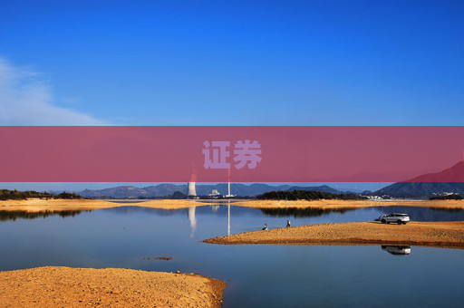 证券