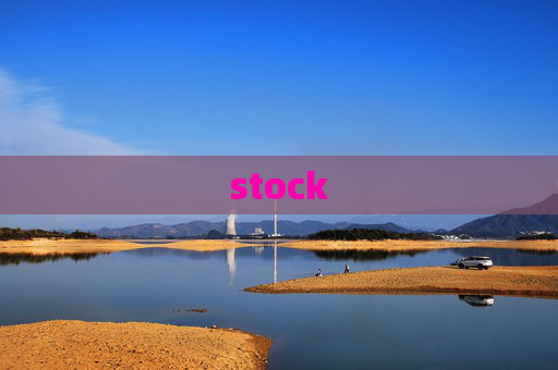 stock