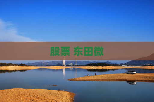 股票 东田微