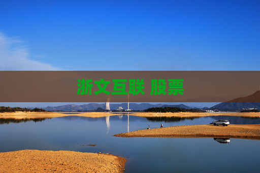 浙文互联 股票