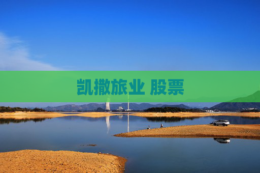 凯撒旅业 股票