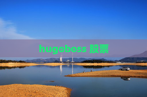 hugoboss 股票