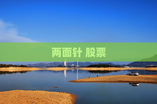 两面针 股票