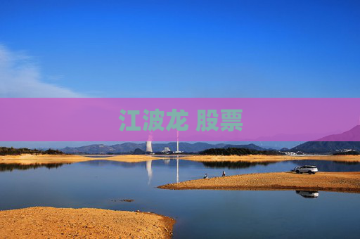 江波龙 股票