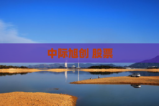 中际旭创 股票