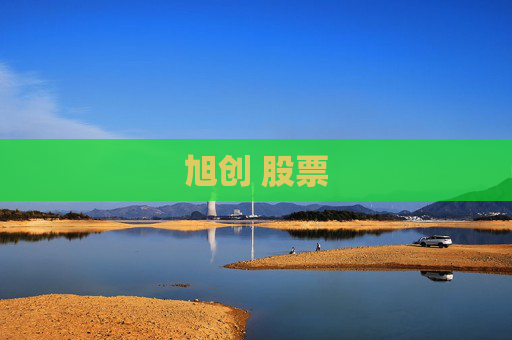 旭创 股票