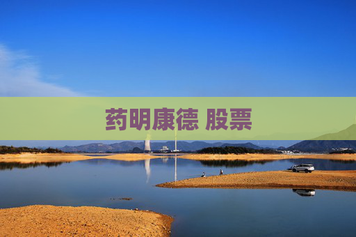 药明康德 股票