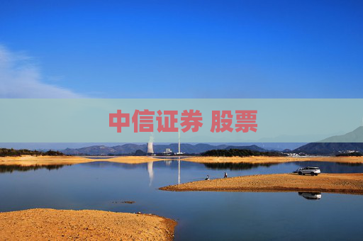 中信证券 股票