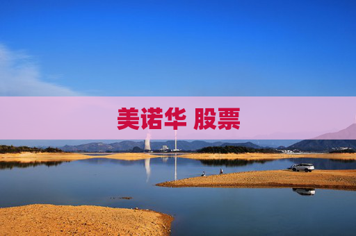 美诺华 股票