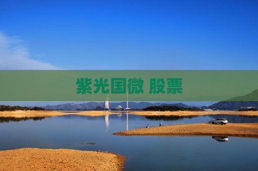 紫光国微 股票