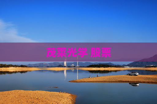 茂莱光学 股票