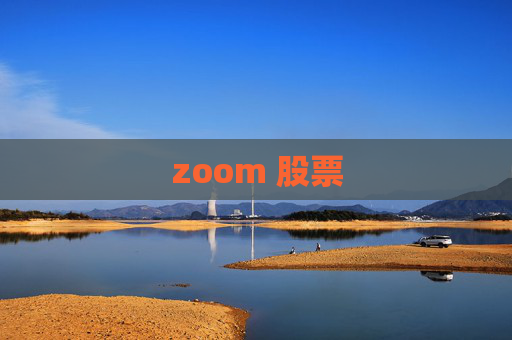 zoom 股票