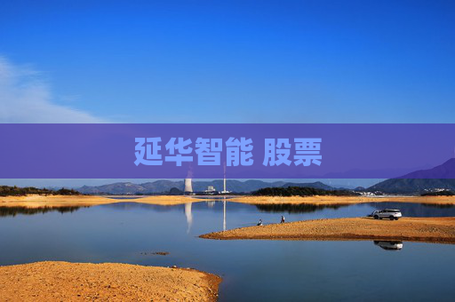 延华智能 股票