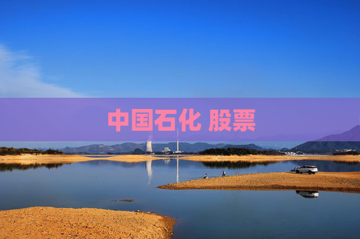 中国石化 股票