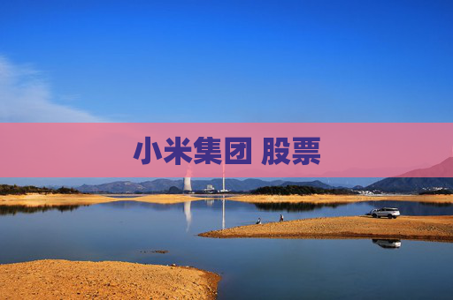 小米集团 股票