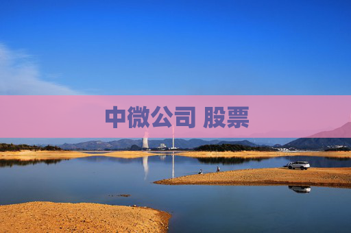 中微公司 股票