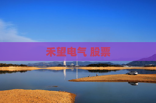禾望电气 股票