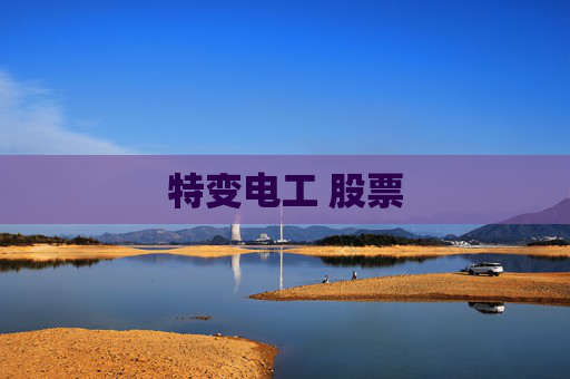 特变电工 股票
