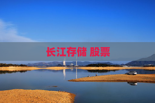 长江存储 股票