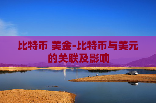 比特币 美金-比特币与美元的关联及影响