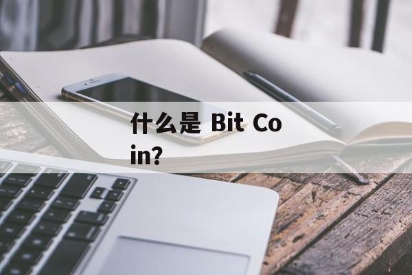 什么是 Bit Coin？