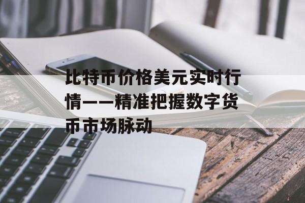 比特币价格美元实时行情——精准把握数字货币市场脉动