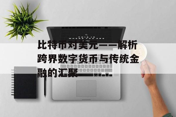 比特币对美元——解析跨界数字货币与传统金融的汇聚