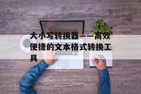 大小写转换器——高效便捷的文本格式转换工具